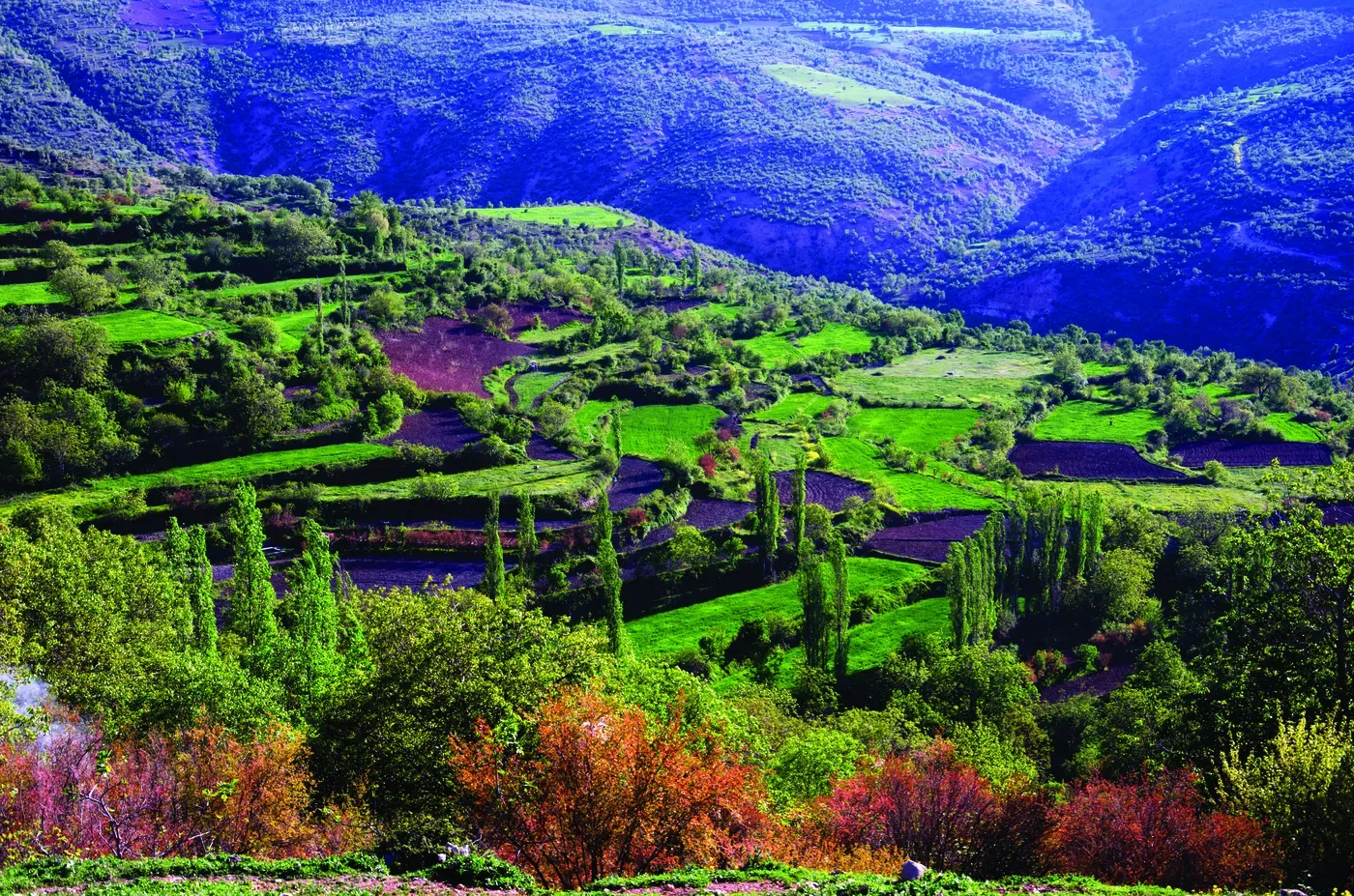 Gercüş travertenleri