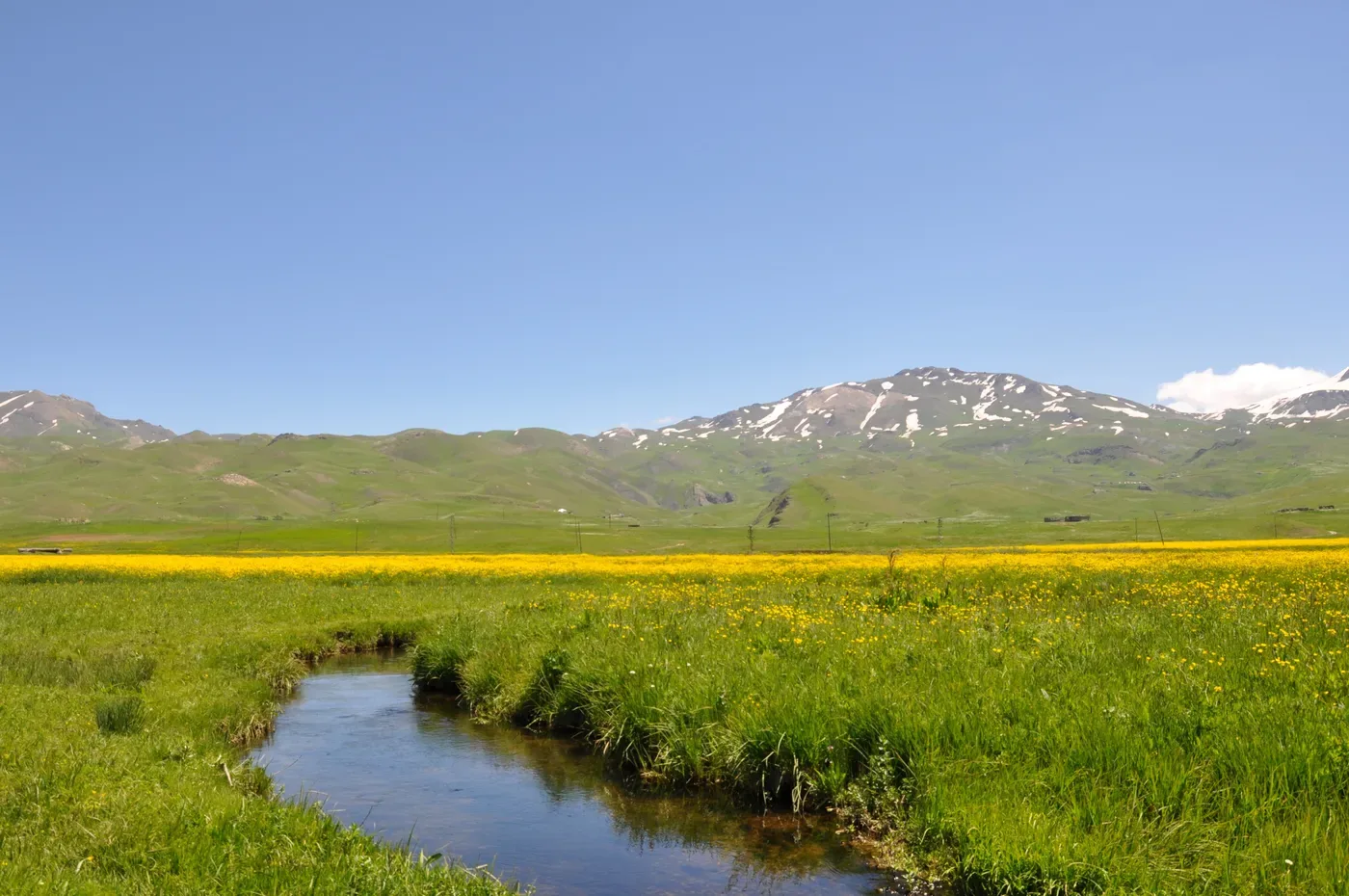 Faraşin Yaylası