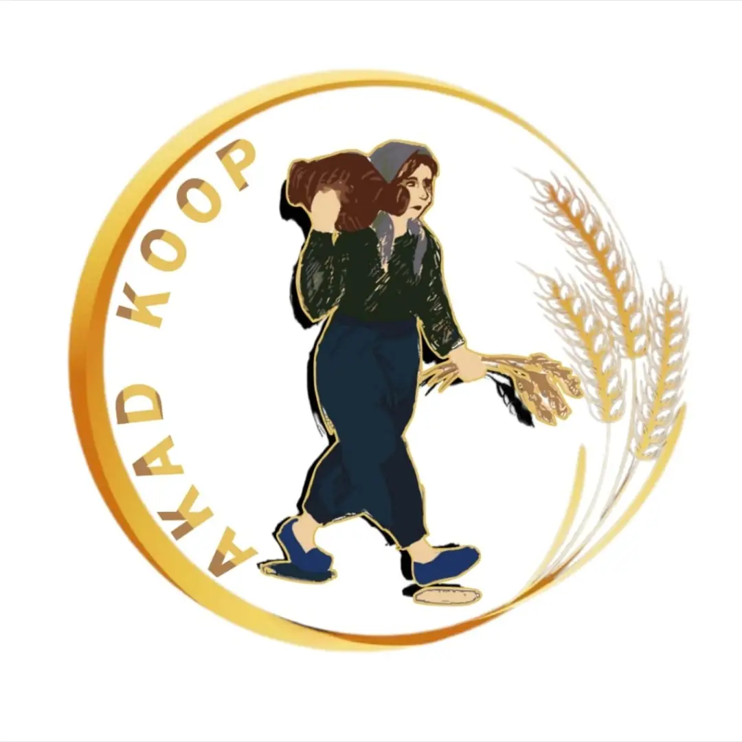 Akad Kooperatifi